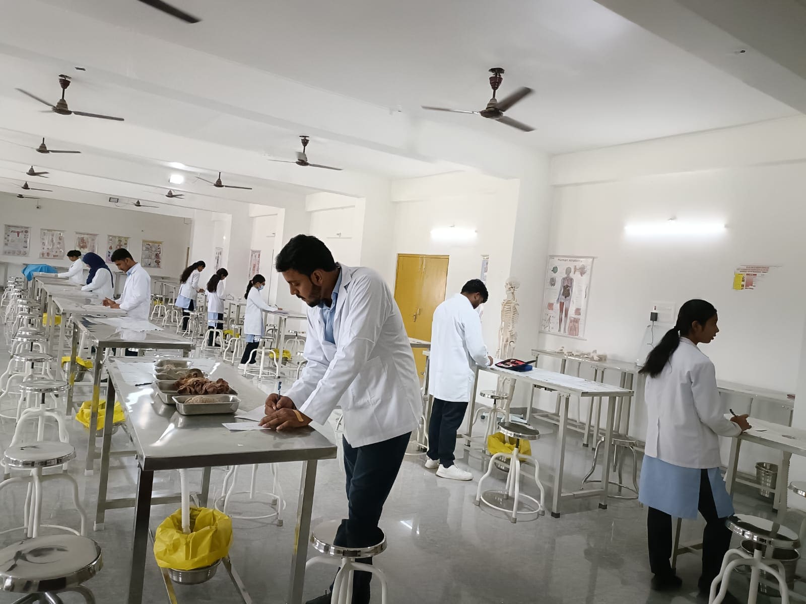 Himalaya Ayurvedic Medical College